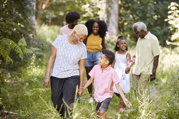 Senior Mujer Negra Caminando Con Nieto Familia Bosque —  Fotos de Stock