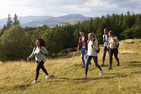 Grupo Multiétnico Cinco Jovens Amigos Adultos Sorrindo Enquanto Caminham Caminho — Fotografia de Stock