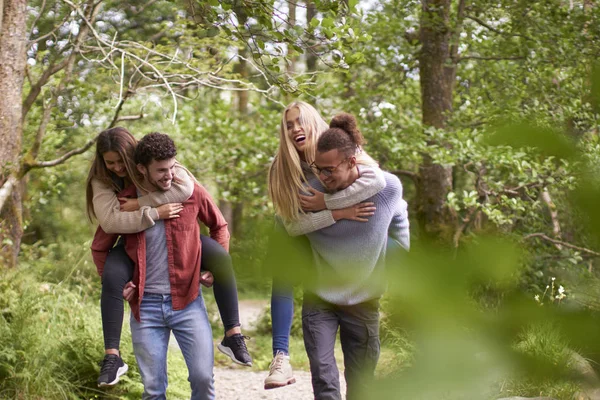 Patru Tineri Prieteni Adulţi Zâmbitori Care Merg Într Pădure Timpul — Fotografie, imagine de stoc