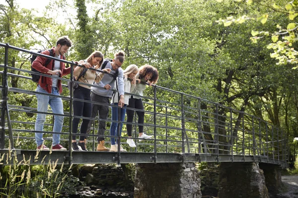 在徒步过程中 由5名年轻成年朋友组成的多民族在桥上站着 俯视着 — 图库照片