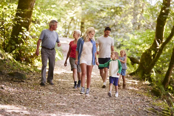 Família Várias Gerações Desfrutando Caminhada Longo Caminho Floresta Juntos — Fotografia de Stock