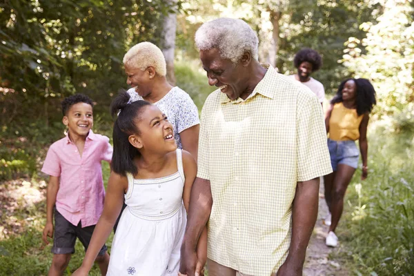 Multi-generation african american family walking in forest, close up