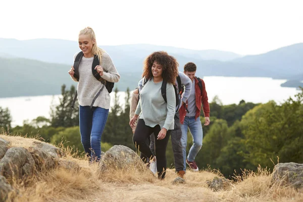 Groep Van Gemengd Ras Jonge Volwassen Vrienden Glimlachen Tijdens Het — Stockfoto