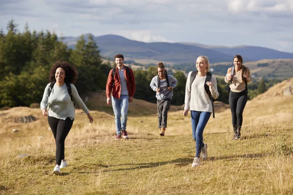 Grupo Multiétnico Cinco Jovens Amigos Adultos Felizes Caminhando Caminho Rural — Fotografia de Stock
