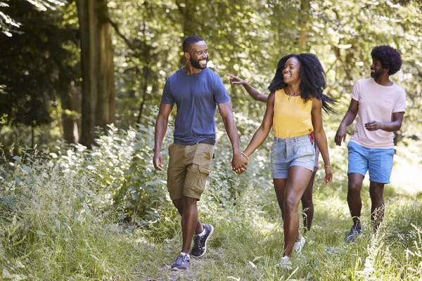 Dos Parejas Negras Caminando Juntas Bosque —  Fotos de Stock