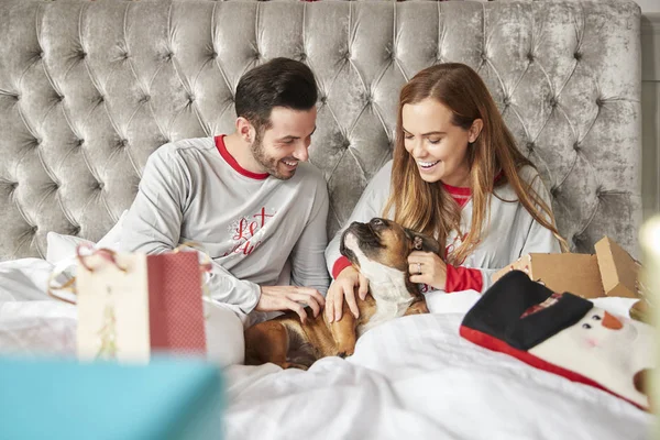 Echtpaar Bed Thuis Met Huisdier Hond Kostuum Opening Geschenken Eerste — Stockfoto