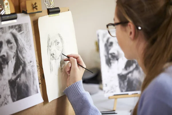 Задний Вид Женщины Подростка Сидящей Углем Рисующей Собаку Фотографии Угле — стоковое фото