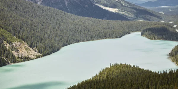 Krásné Jezero Aljašce Uprostřed Hor Lesů — Stock fotografie