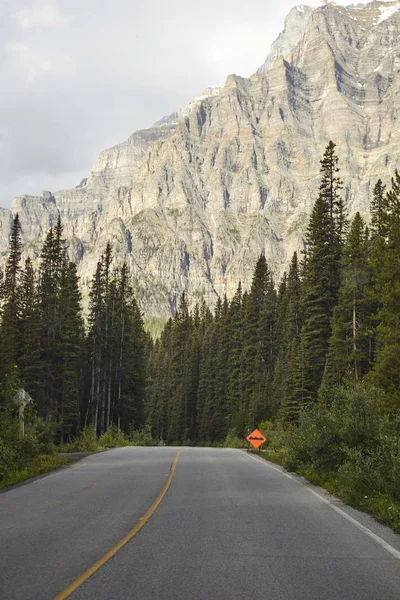 Camino Del Campo Través Del Valle Arbolado Entre Montañas Alaska —  Fotos de Stock