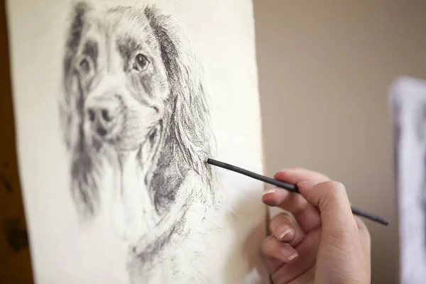 炭の犬のイーゼル図面画像を座っているアーティストのクローズ アップ — ストック写真