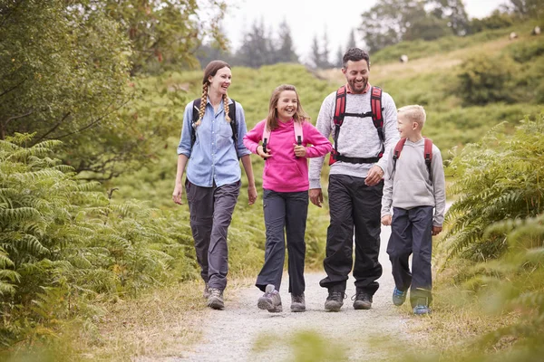 Família Jovem Caminhando Caminho País Durante Umas Férias Acampamento Família — Fotografia de Stock