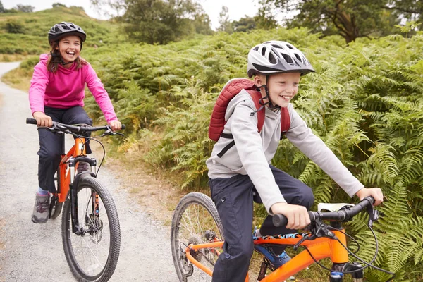 Dos Niños Montando Bicicletas Montaña Sendero Rural Riendo Enfoque Selectivo — Foto de Stock