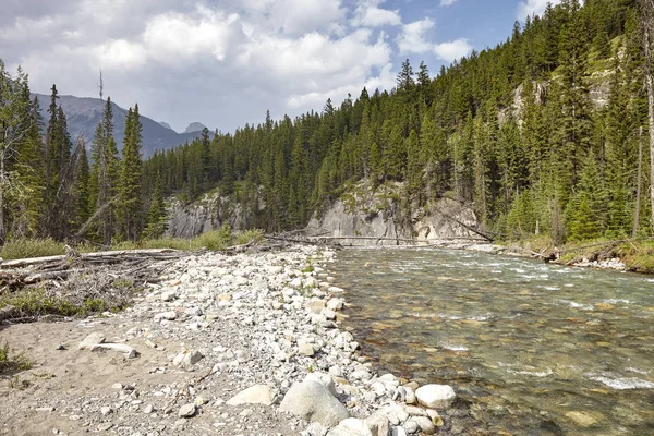 Río Que Corre Través Del Valle Arbolado Entre Montañas Alaska —  Fotos de Stock