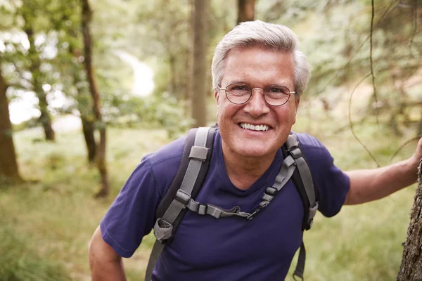 Mann Mittleren Alters Wandert Wald — Stockfoto