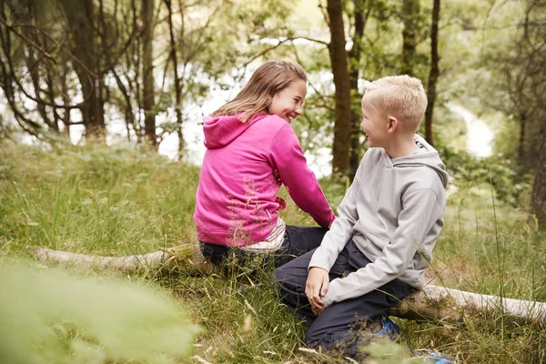 兄弟和姐妹一起坐在森林里倒下的树上 选择性地看着 — 图库照片