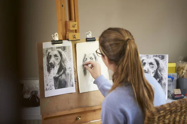 Rear View Female Teenage Artist Sitting Easel Drawing Picture Dog — Stok Foto