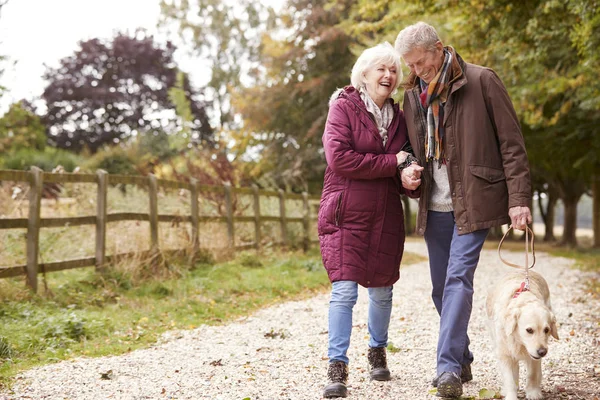 Aktives Seniorenpaar Auf Herbstspaziergang Mit Hund Auf Landpartie — Stockfoto