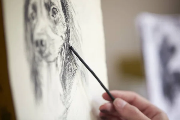 Крупным Планом Художника Сидящего Easel Рисование Фото Собаки Угле — стоковое фото