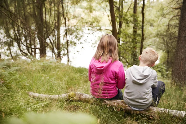 Mädchen Und Junge Sitzen Zusammen Auf Einem Umgestürzten Baum Wald — Stockfoto