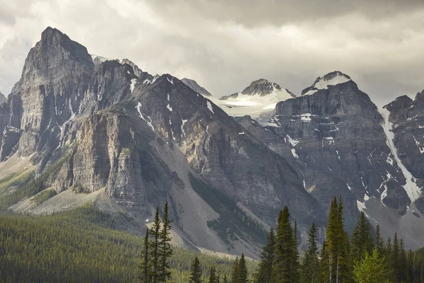 Bosque Árbol Línea Con Montañas Detrás Alaska —  Fotos de Stock