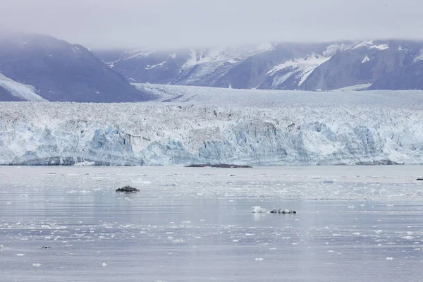 Красиві Льодовика Впадають Озеро Алясці Сша — стокове фото