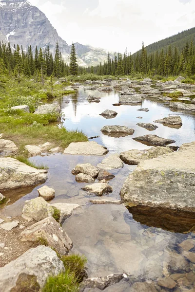 Řeka Zalesněném Údolí Mezi Horami Aljašce — Stock fotografie
