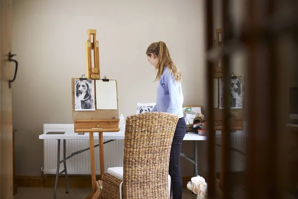 女青少年艺术家准备从照片中绘制狗的图片 — 图库照片