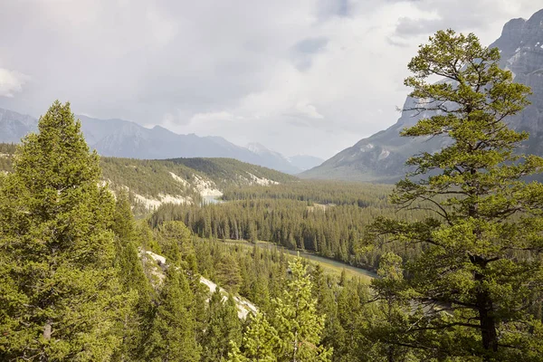 Vista Sobre Río Valle Arbolado Entre Montañas Alaska —  Fotos de Stock