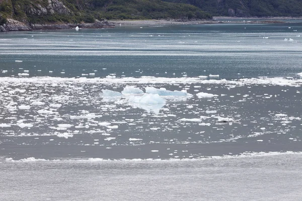 アラスカで湖の表面に浮かぶ氷 — ストック写真