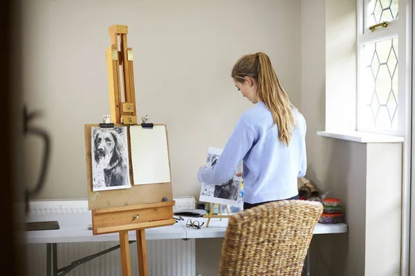 Kadın Genç Sanatçı Fotoğraftan Köpek Resmini Çizmek Hazırlanıyor — Stok fotoğraf