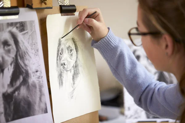 炭の写真から犬のイーゼル図面画像を座っている女性 代アーティストの後姿 — ストック写真