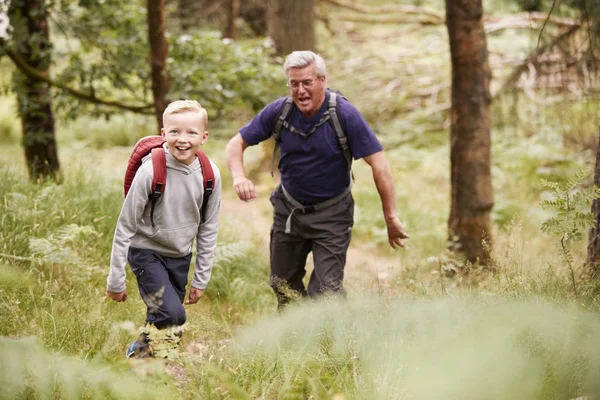 祖父と孫の緑 選択と集中の中で森のハイキング — ストック写真