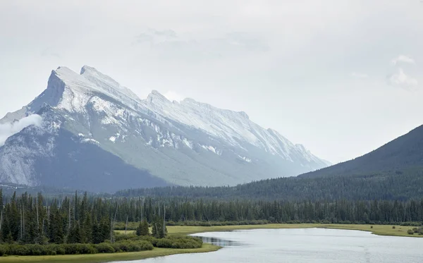 Rio Que Atravessa Vale Arborizado Entre Montanhas Alasca — Fotografia de Stock