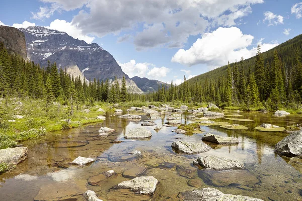 Floden Löper Genom Skogsklädda Dalen Mellan Bergen Alaska — Stockfoto