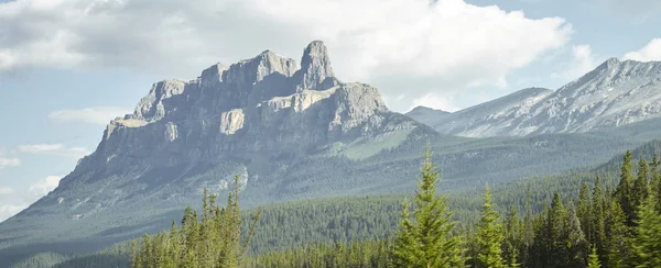 Lesních Stromů Horami Pozadí Aljašce — Stock fotografie