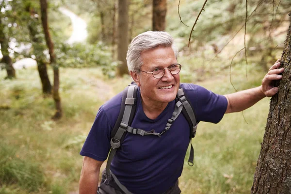 Mann Mittleren Alters Wandert Wald — Stockfoto
