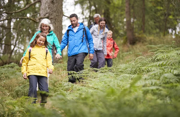 Flergenerations Familj Linje Neråt Ett Spår Skog Campingsemester — Stockfoto