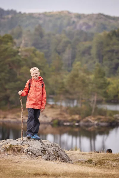 Bir Sopa Lake District Ngiltere Tutan Kayada Duran Çocuk — Stok fotoğraf