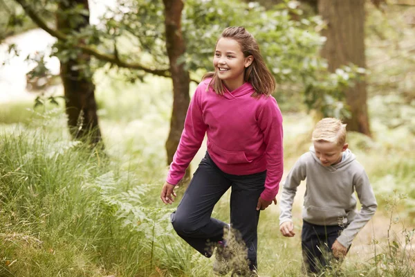 Twee Kinderen Lopen Door Een Bos Onder Groen Vooraanzicht — Stockfoto