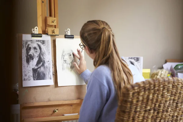 Vista Posteriore Femmina Adolescente Artista Seduto Anguilla Disegno Immagine Cane — Foto Stock