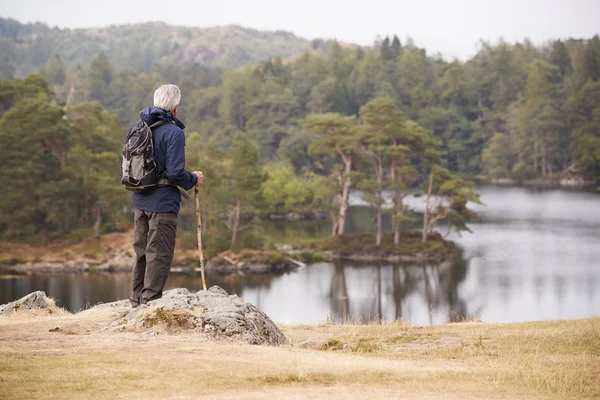 Orta Yaşlı Adam Bir Göl Manzaranın Bir Kayaya Ayakta Arkadan — Stok fotoğraf