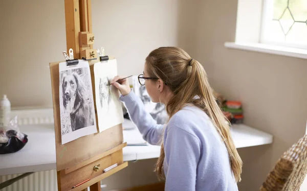 Boční Pohled Ženské Dospívání Umělce Stojanu Kreslení Obrázek Psa Fotografii — Stock fotografie