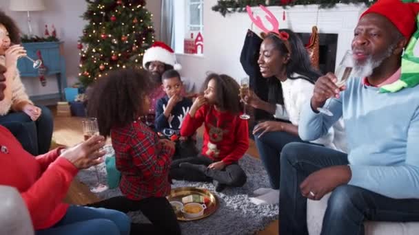 多代家庭戴着庆祝圣诞节的派对帽 在家里用香槟酒和零食一起庆祝圣诞节 慢镜头 — 图库视频影像