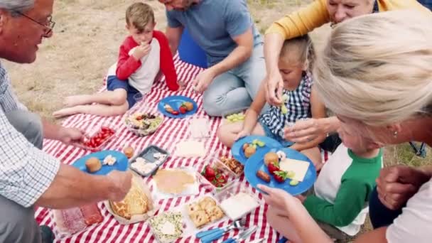 Familia Multigeneracional Sentada Sobre Una Manta Disfrutando Picnic Campo Filmada — Vídeo de stock