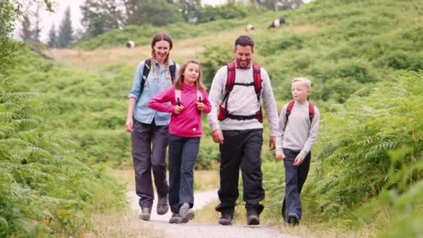 Ouders Kinderen Lopen Een Pad Platteland Tijdens Een Familie Camping — Stockvideo