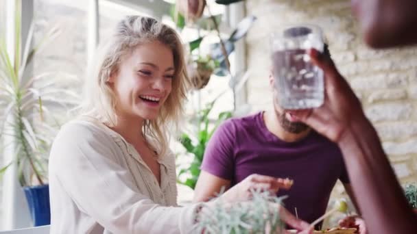 Πολυεθνική Ομάδα Φίλων Γελώντας Στο Μεσημεριανό Γεύμα Ένα Εστιατόριο Επιλεκτική — Αρχείο Βίντεο