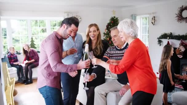 Родина Багатьох Поколінь Яка Розслабляється Вітальні Насолоджуючись Попередньою Вечерею Випила — стокове відео