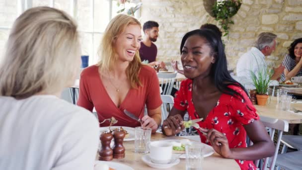 三个年轻的成年妇女一起吃早午餐 在一家小餐馆里聊天 腰部向上 — 图库视频影像