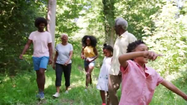 Niño Caminando Por Delante Multi Generación Familia Negra Bosque — Vídeos de Stock