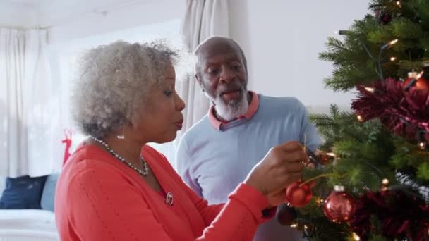 Vidéo Couple Personnes Âgées Accrochant Des Décorations Noël Sur Arbre — Video